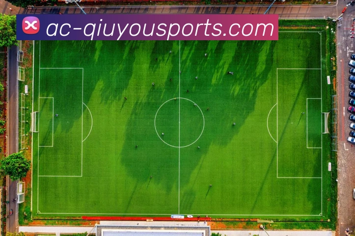 球友体育直播平台生态图